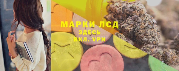 спиды Алзамай