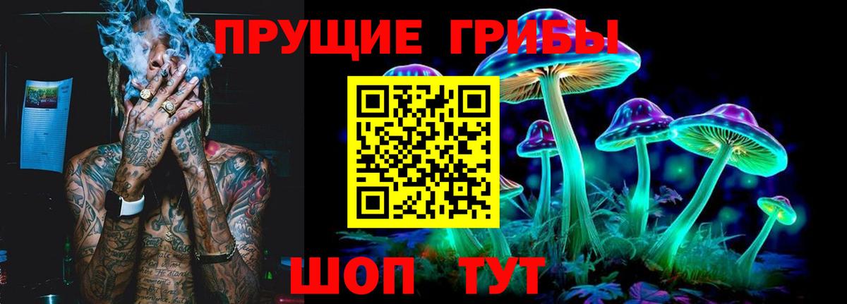 Галлюциногенные грибы прущие грибы Егорьевск